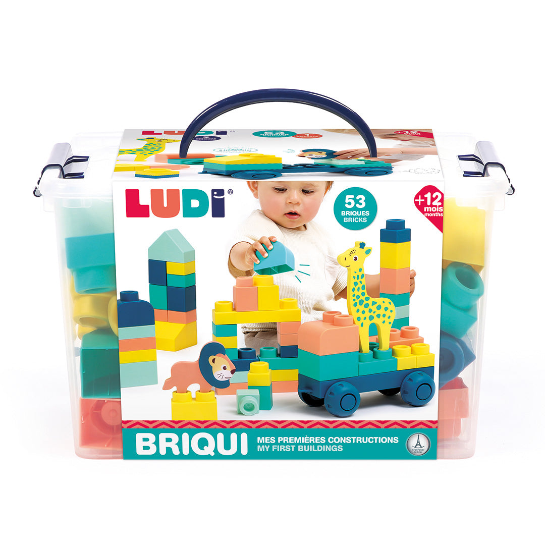LUDI konstruktorius kaladėlės mažiausiems