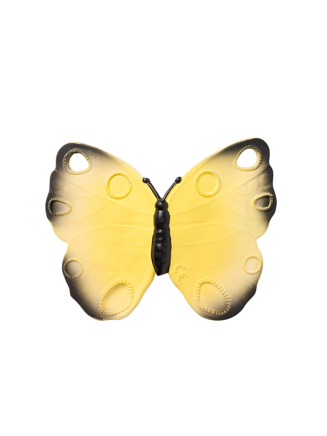 Oli&Carol Naturalus kramtukas Katia Butterfly Drugelis Closeup